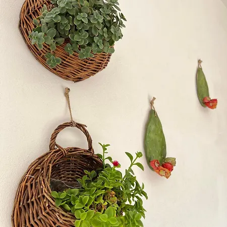 Trulli Al Chiaro Di Luna